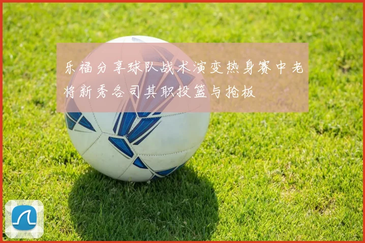 乐福分享球队战术演变热身赛中老将新秀各司其职投篮与抢板